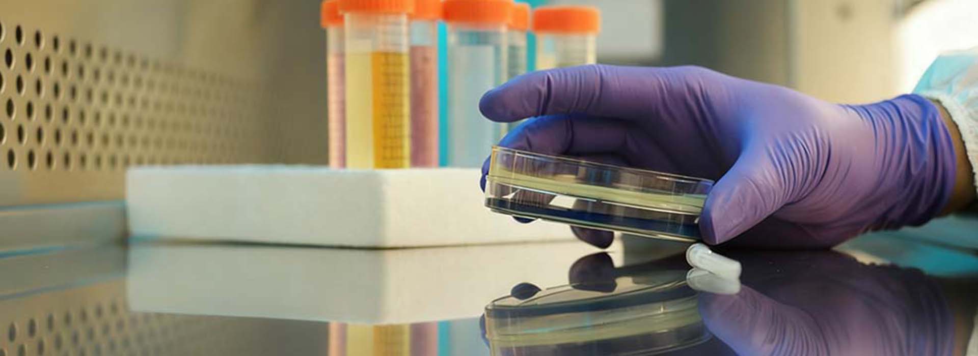 ジェイファー樹脂